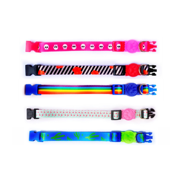 Coleira Premium Ajustável  - Pro Comfort 360º