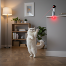 Instinto Play: O Caçador Inteligente 360°